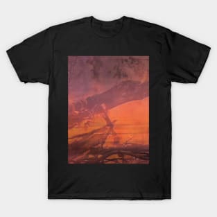 Flickering Flames T-Shirt